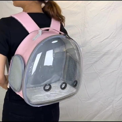 Transparent Hamster & Small Pet Backpack